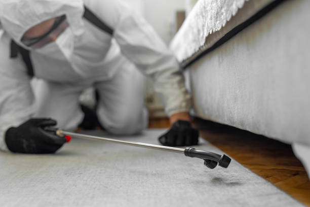 Professional Cockroach Control technician working in Hewlett, NY